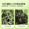 杞果小圣无果枸杞芽茶60袋装精品礼盒（3G*60袋） 商品缩略图6