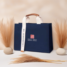 （勿拍）领导文萃飘带手提包