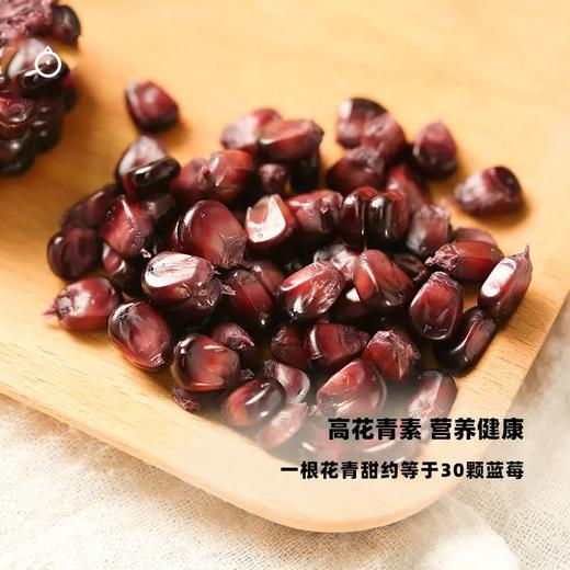 企鹅市集|山西农科院有机花青甜黑糯玉米10根装 乌粒金花青素 香甜软糯 商品图5