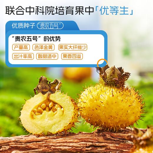 初好益生元刺梨汁 商品图2