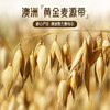 红锚 燕麦片 澳洲原装进口 原味早餐麦片 澳洲原产健康谷物 750g 商品缩略图6