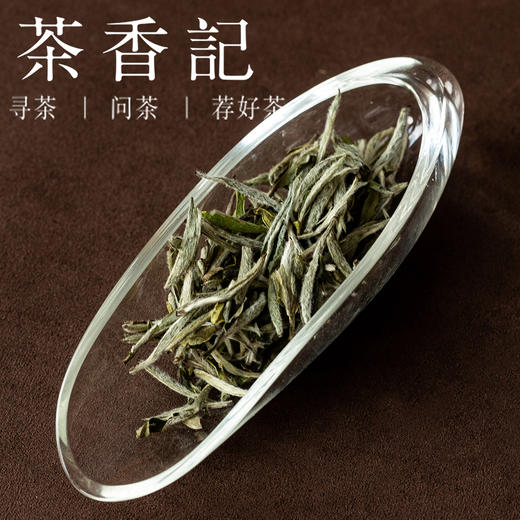 茶香记太姥银针025福鼎白茶核心产区头春茶日光萎凋传统日晒鲜甜醇爽 商品图2