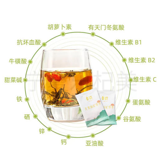 杞果小圣无果枸杞芽茶60袋装精品礼盒（3G*60袋） 商品图4