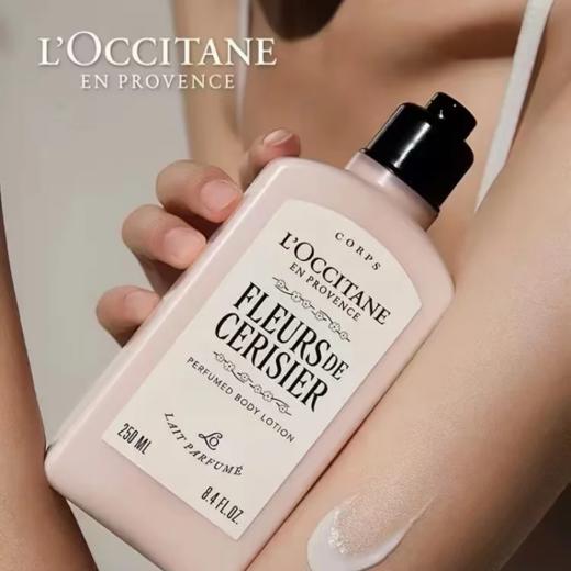 【双12嗨购节】【全球购·新版】L'OCCITANE欧舒丹樱花身体乳250ml沐浴露250ml甜蜜浪漫香体保湿 樱花润肤乳滋润保湿--wskl581 商品图9