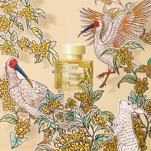 「下单两瓶赠礼袋+蜡烛」宋朝  繁花之境系列无火香薰 净化空气 120ml/瓶 商品图5