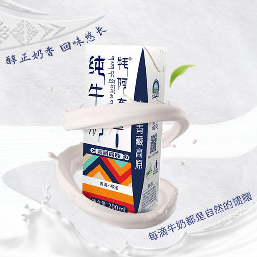 【囤货装】天境雪域纯牛奶 青海祁连天境牧场营养早餐奶 200ml*20支 商品图4