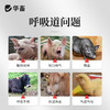 华畜兽用呼吸道宣肺泻热平喘止咳猪牛羊鸡鸭鹅支气管祛痰呼宁颗粒 商品缩略图1