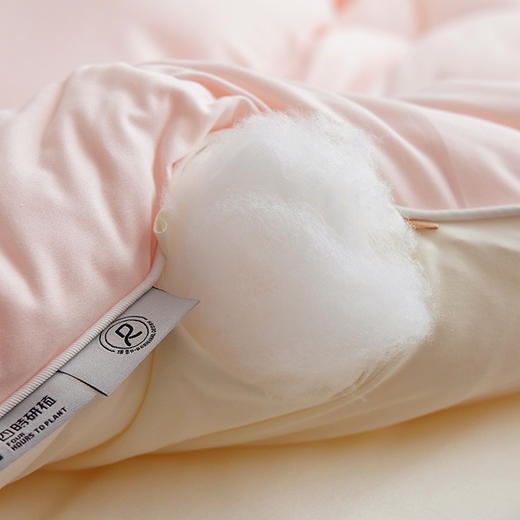 顶柔 棉花糖生物基被3.0-BX2236 商品图6
