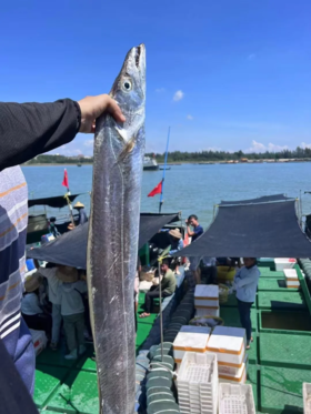 & 海钓青张大带鱼🐟宽厚肥美，肉质特别细嫩，清蒸，干煎，红烧都好吃😋