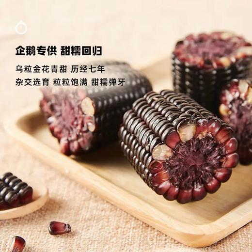 企鹅市集|山西农科院有机花青甜黑糯玉米10根装 乌粒金花青素 香甜软糯 商品图4