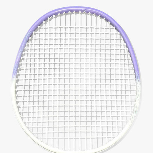 德则德则羽毛球对拍（一体）DEZ-YPS1166 商品图1