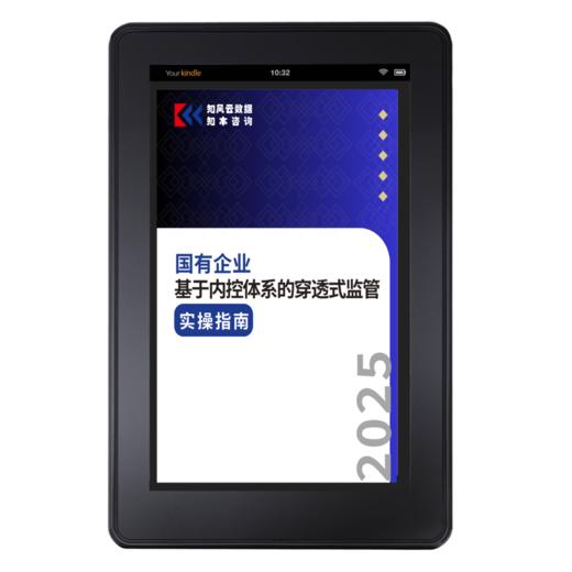【重磅发布】国有企业基于内控体系的穿透式监管实操指南（2025年） 商品图2