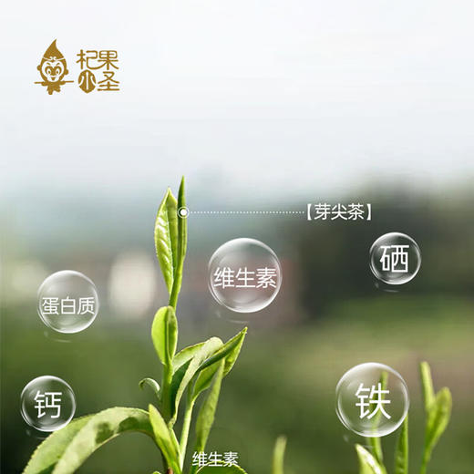 杞果小圣无果枸杞芽茶60袋装精品礼盒（3G*60袋） 商品图3