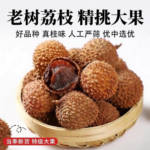 在菌屋 正宗桂味荔枝干500g/袋 优选当季特级大果 日晒九成干 软韧香甜 商品图1