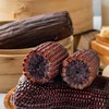 有机黑糯玉米220g*8支/10支/14支基地直发 商品缩略图0