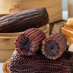 有机黑糯玉米220g*8支/10支/14支基地直发