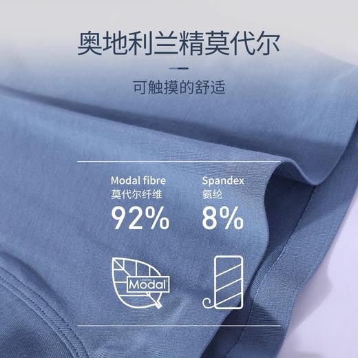 【超值莫代尔】德国舒雅男士超柔莫代尔无痕平角底裤内裤(1条装）35/17774T 商品图4