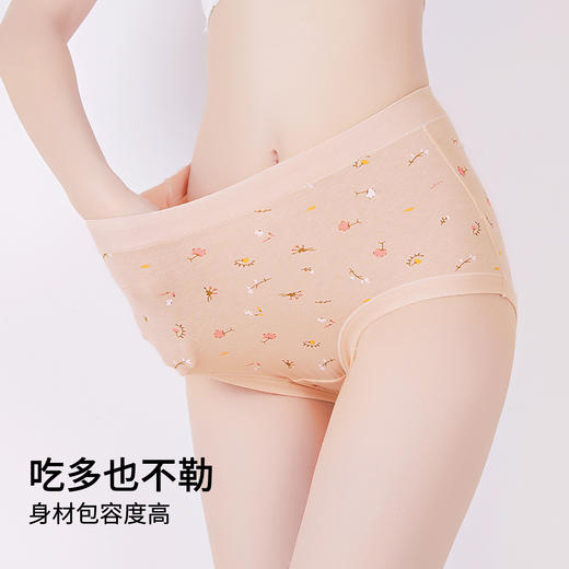 雅黛俪女士内裤柔软舒适透气纯棉裆底三角裤头 商品图3