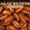 正宗香酥蚕蛹70g/袋 香酥味/香辣味 高蛋白高营养 酥脆咸香 商品缩略图1