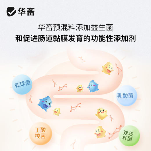 【整吨更优惠】华畜5%产蛋育成期预混料 蛋鸡饲料 添加进口25-DH-D3 营养含量高于美国中国双重标准 商品图3