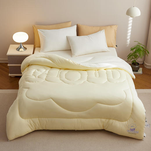 顶柔 棉花糖生物基被3.0-BX2236 商品图3