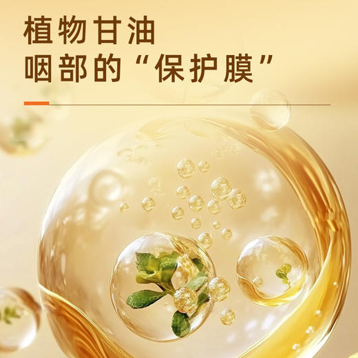 “175年历史 瑞士进口”Grether's 格莱嗓黑醋栗味无糖润喉糖 110g/盒 商品图4