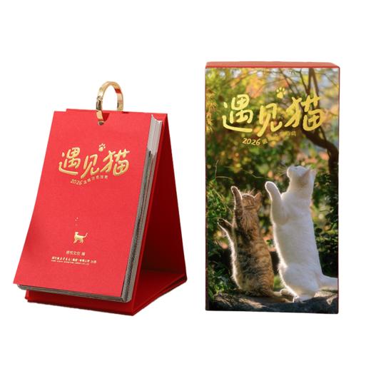 遇见猫·2026猫日历 | 温暖治愈指南 商品图1