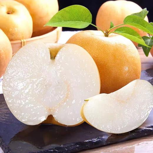 莱阳正宗秋月梨礼盒装产地直发 商品图0
