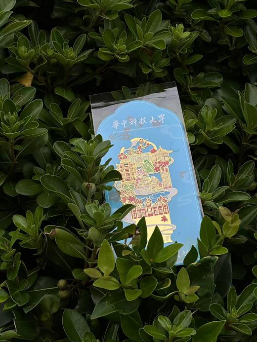 华科大校园风光镂空书签 商品图1