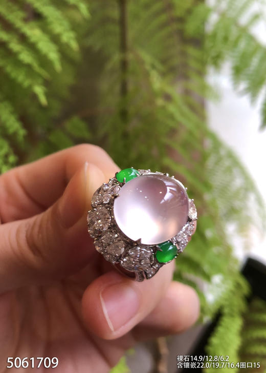 玻璃种粉紫罗兰蛋面戒指【5061709】具体价格微信咨询 商品图5