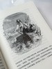 限量珍藏版《鲁滨孙历险记》蓝色荷兰进口漆布+三面鎏金书口+暗藏花纹 商品缩略图11