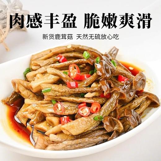 在菌屋 特级鹿茸菇200g/罐 头茬嫩菇 口感脆嫩爽滑 干度足易保存 商品图4