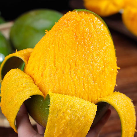 正宗攀枝花凯特芒果新鲜当季 商品图4