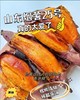 周一取货：【烟薯25号】一份3斤左右，地瓜界的劳斯莱斯，香甜绵密，油糍糍！ 商品缩略图10