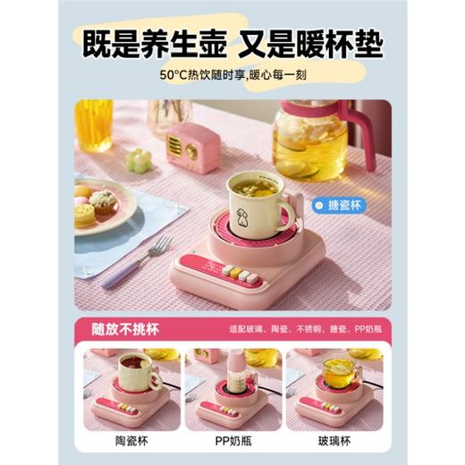 蓝宝液体加热器(花茶壶)BP-HP06 商品图3