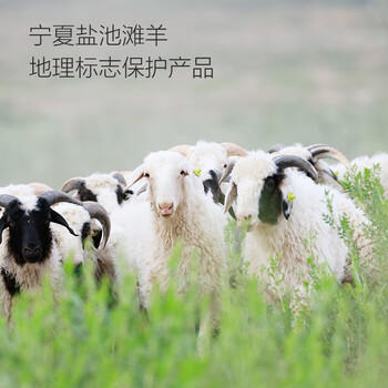 1号会员店（One's Member） 宁夏盐池滩羊去骨后腿肉 净重2斤地标羊肉烧烤食材烤肉羊腿肉串 商品图3