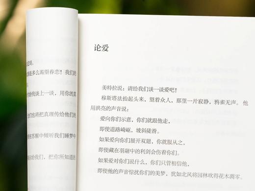 《纪伯伦精选集》（全5册）， 阿拉伯文学主要奠基人、黎巴嫩文坛骄子，与泰戈尔齐名，比肩莎士比亚，被誉为“站在东西方文化桥梁上的巨人”。 商品图5