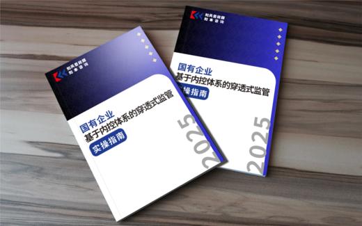 【重磅发布】国有企业基于内控体系的穿透式监管实操指南（2025年） 商品图3