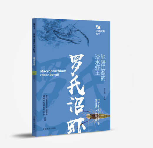 驰骋江湖的淡水虾王——罗氏沼虾 商品图0