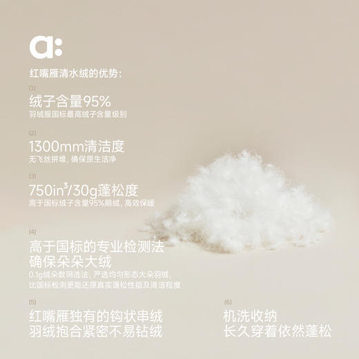 儿童红嘴雁经典羽绒服(48小时内发货)-幼岚2025 商品图2