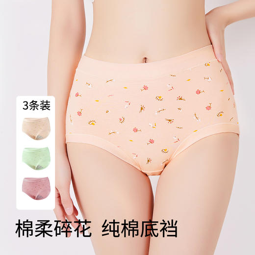 雅黛俪女士内裤柔软舒适透气纯棉裆底三角裤头 商品图0