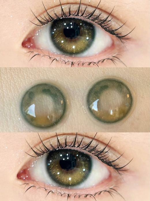 Leenscolor旗下 · 碎钻黑金&碎钻棕绿【半年抛】& 碎钻泪光&碎钻蓝紫 | 14.5mm白狮参考着色中等直径 | 韩国长期抛 商品图1