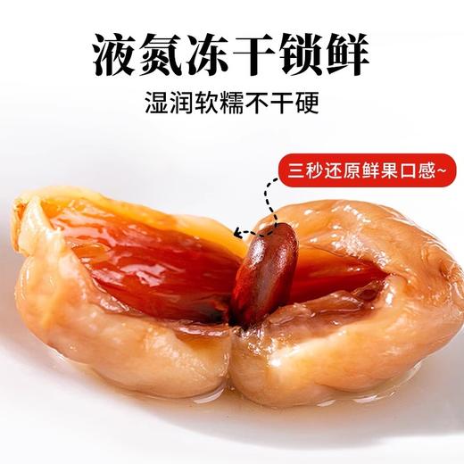 在菌屋 正宗桂味荔枝干400g/罐 优选当季特级大果 日晒九成干 软韧香甜 商品图4