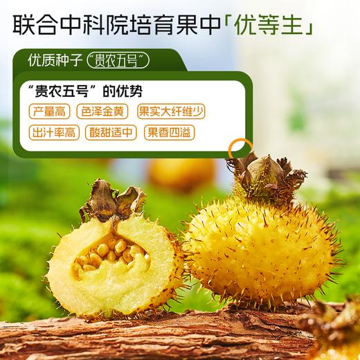 初好有机刺梨原浆 商品图2