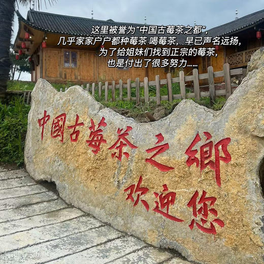 【板娘定制】【溯源推荐】【2份减10  4份减30】【板娘定制莓茶】1份2袋（125g/袋）手工采摘，0茶多酚，无需洗茶，直接用热水冲泡即可，入口微苦，回甘满满甜丝~ 商品图4