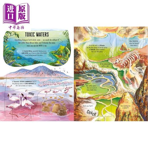 【中商原版】尤斯伯恩看里面揭秘系列 狂野地带 See Inside Wild Places 英文原版 儿童纸板书 翻页书 科普绘本读物 进口童书 商品图3