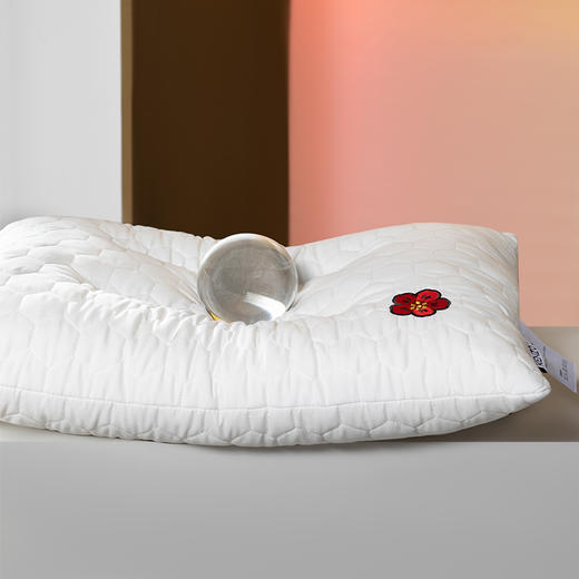 KZX-010 KENZO分区深睡乳胶枕 商品图5