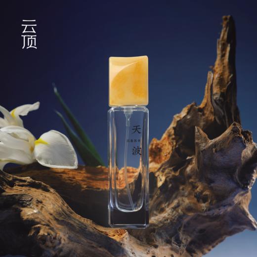 云顶幻化系列东方木香 商品图2