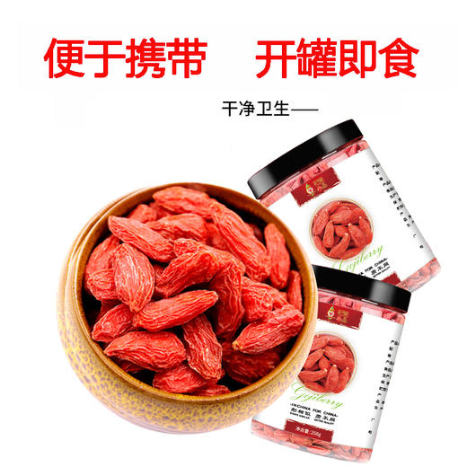 全通枸杞{任爽}杞果小圣宁夏中宁核心产区的枸杞干果258g 商品图2