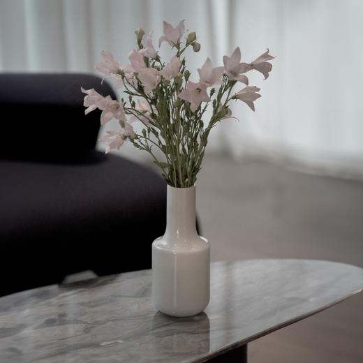 极简花瓶 RESONG日诵家居 插花玻璃花器饰品 商品图12